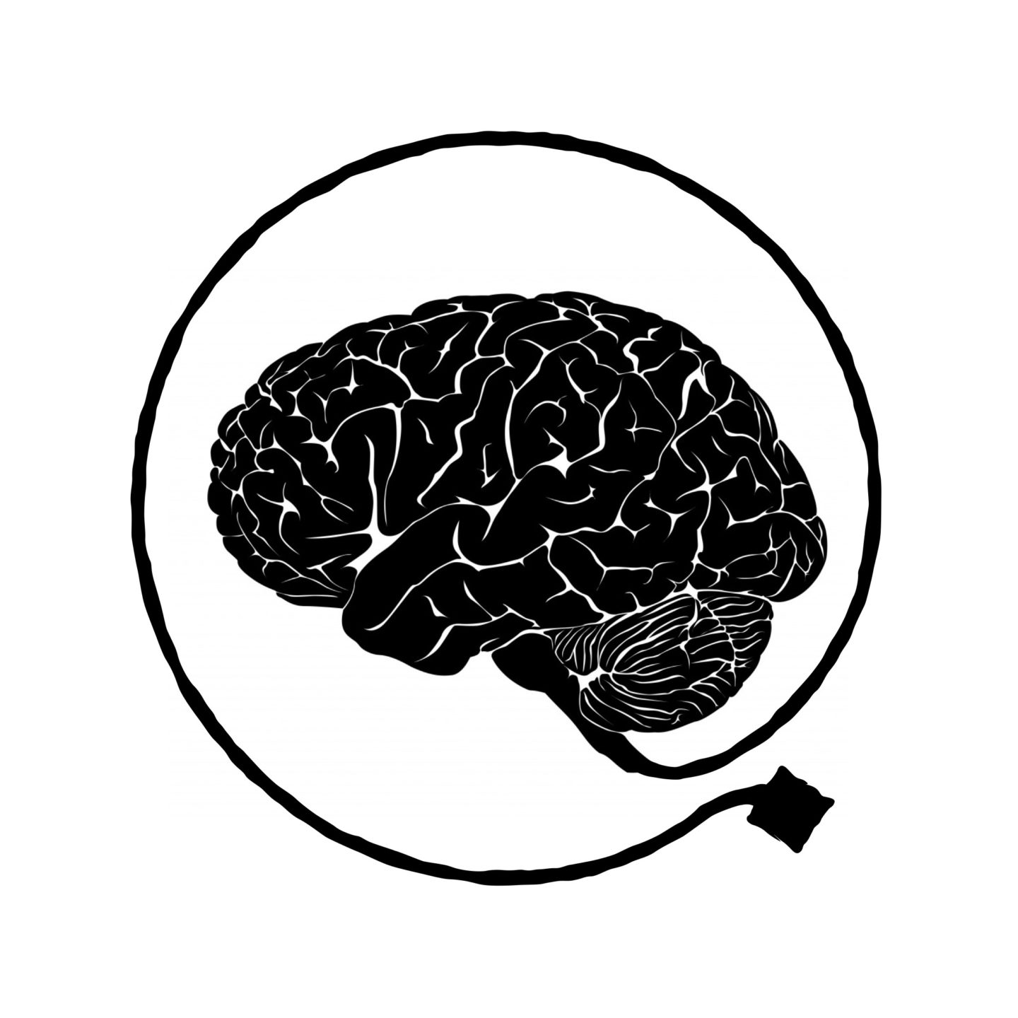 Brain imaging. Мозг без фона. Мозг стилизация. Мозг векторное изображение. Мозг символ.