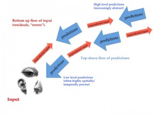 PPschema