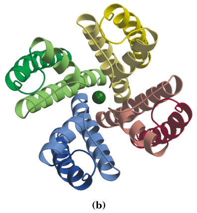 Understanding Compositional Explanations in the Sciences