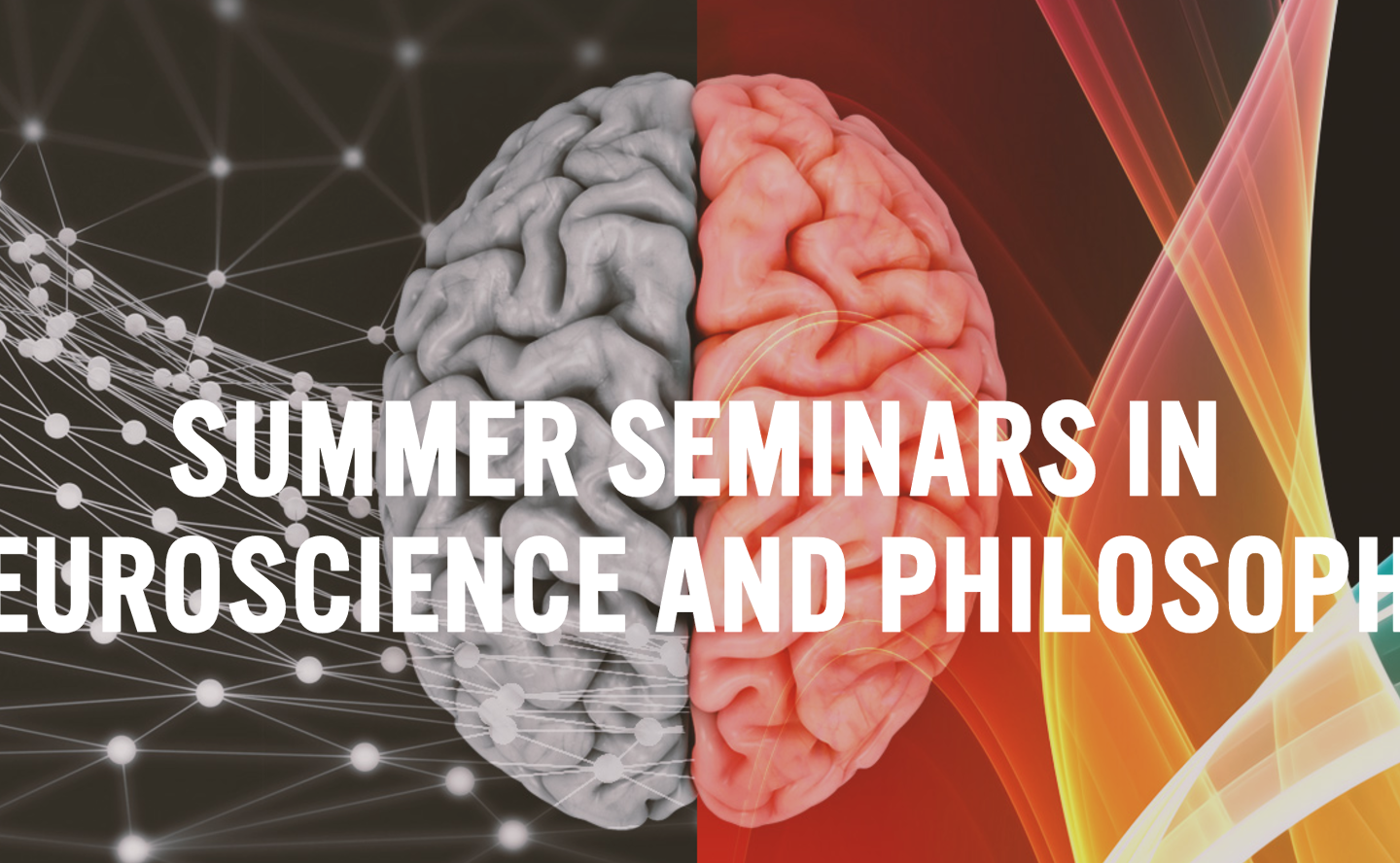 Applications are open for the 2017 Summer Seminars in Neuroscience and Philosophy