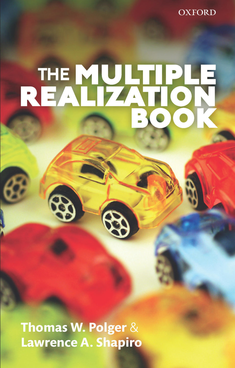 The Multiple Realization Book: Précis