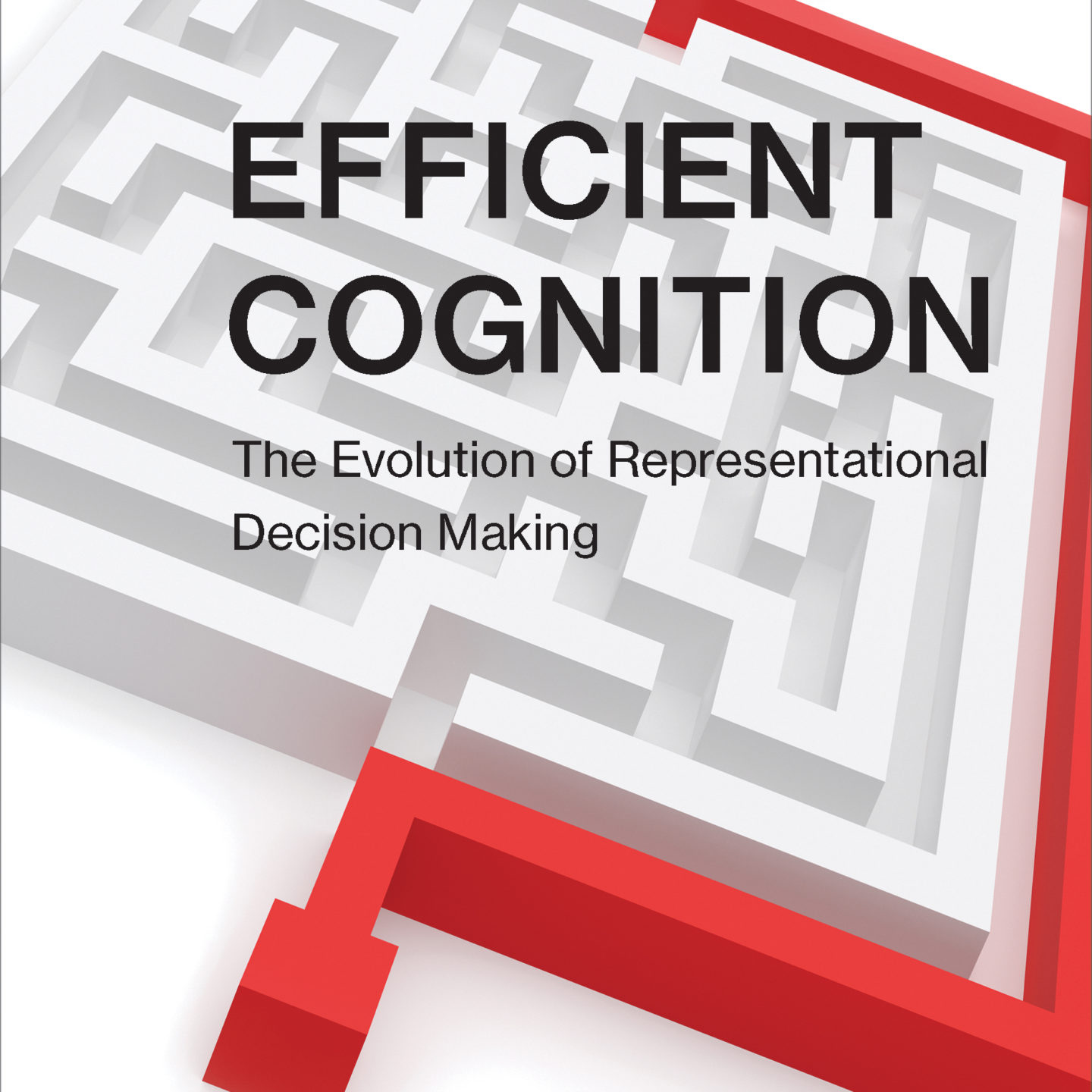 Efficient Cognition—The Evolution of Representational Decision Making