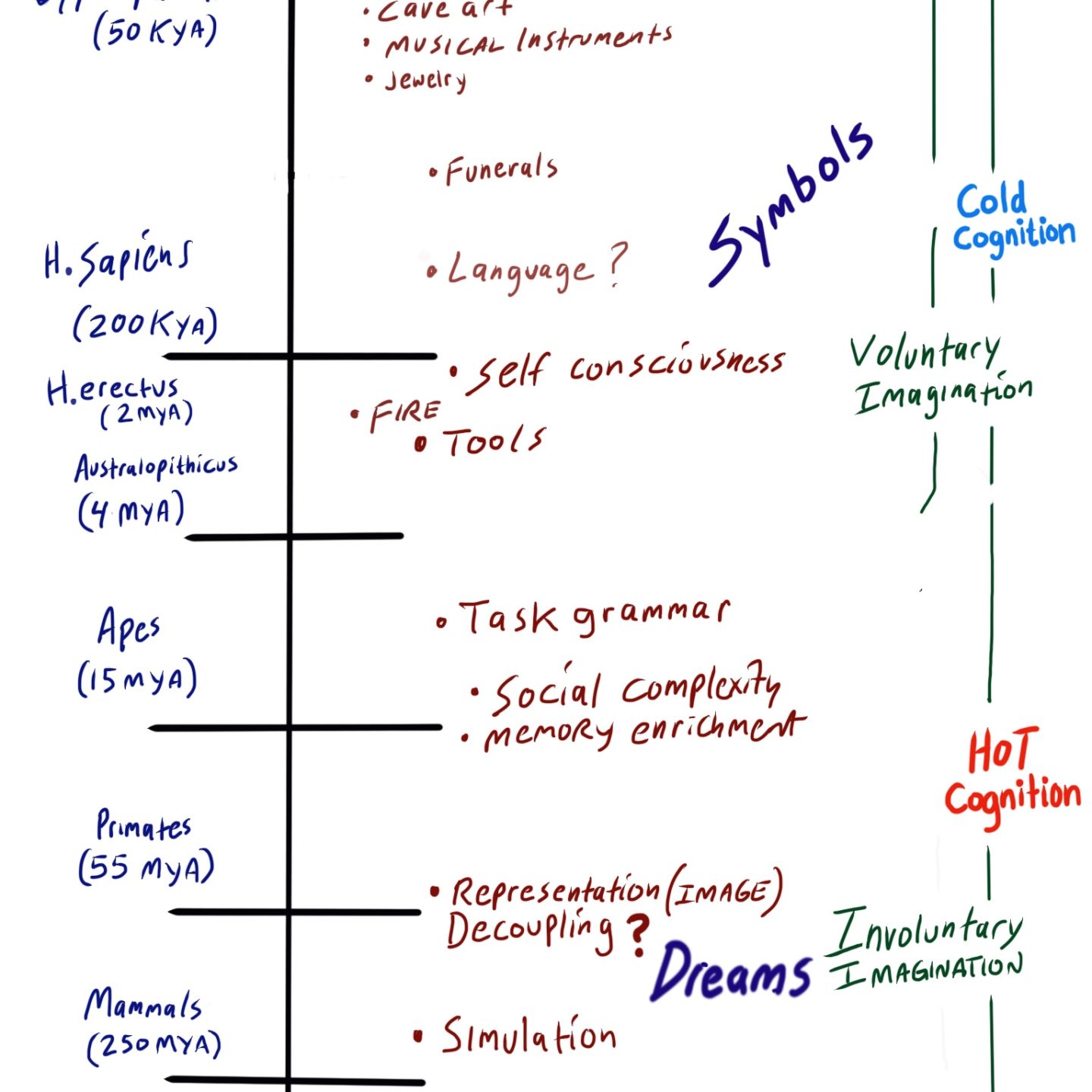 Evolution of Concepts