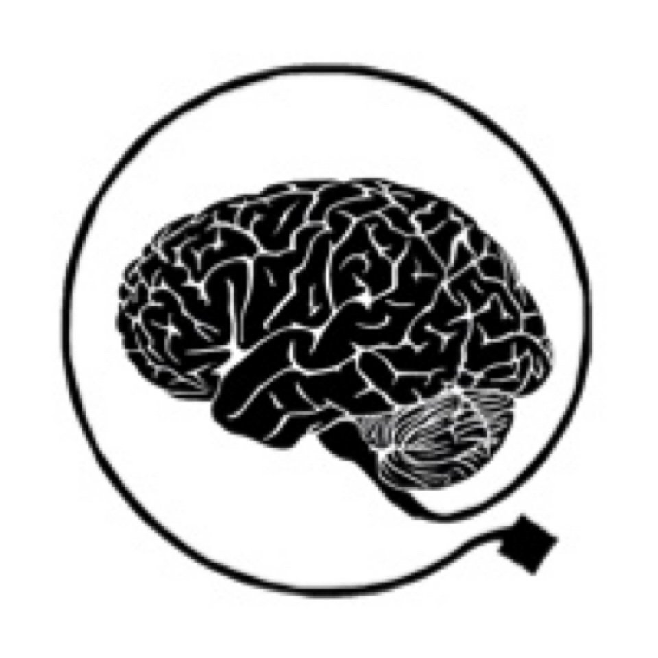 The Brains Blog — The Brains Pod