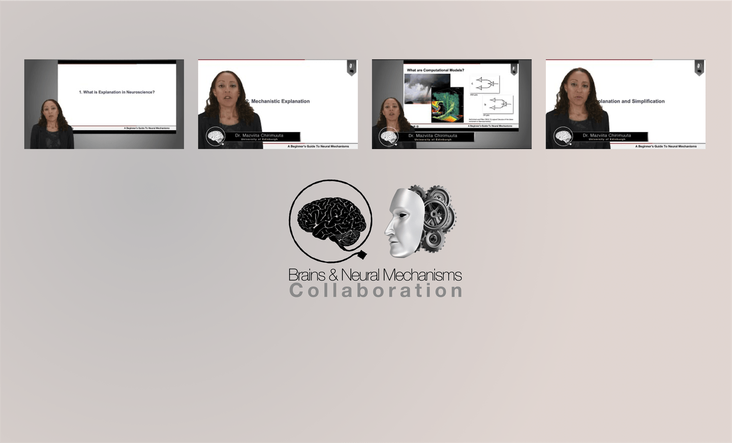Four Videos About Neuroscience Models and Explanations — Dr. Mazviita Chirimuuta